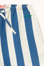 Light Navy Stripes Shorts