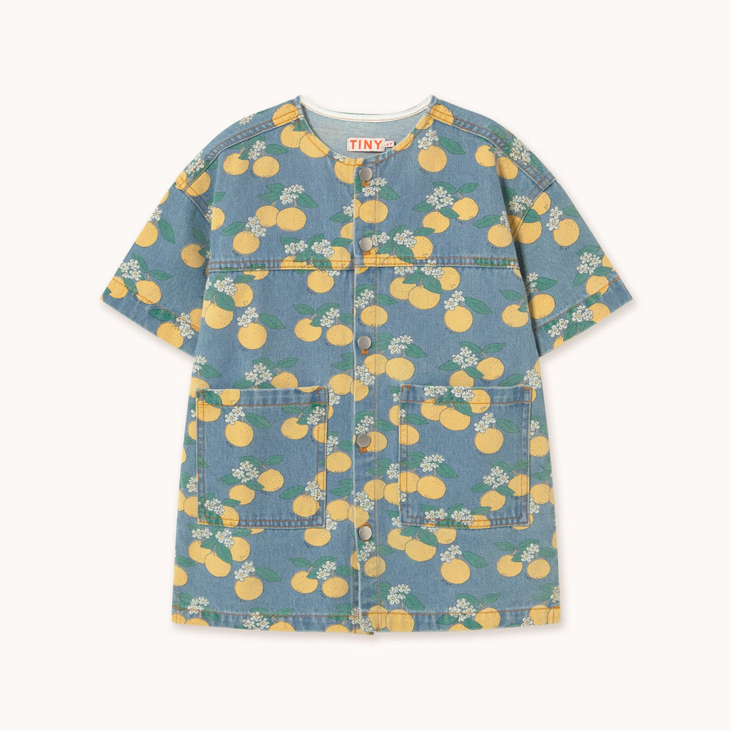 Robe en Denim à Imprimé Oranges