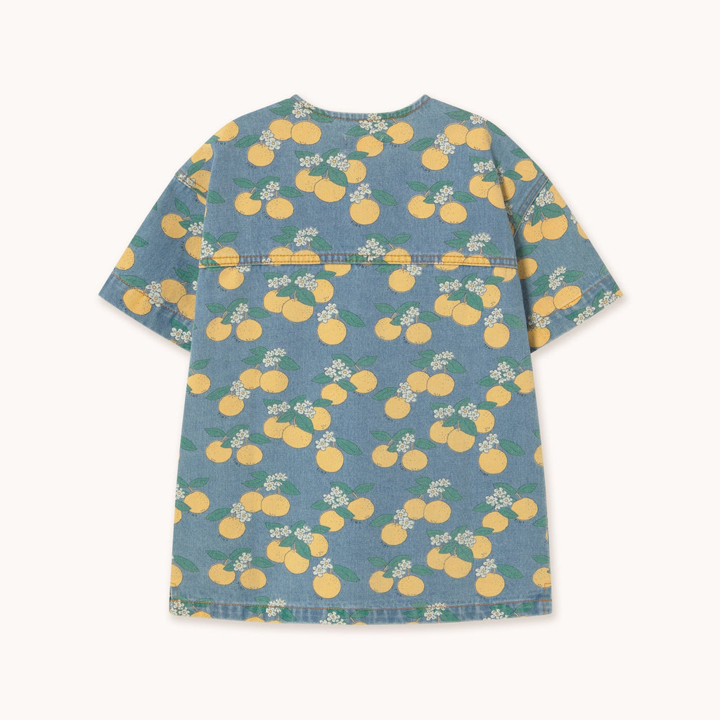 Robe en Denim à Imprimé Oranges