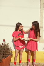 Pink Socks with Red Stripes