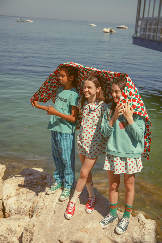 Chaussettes Vertes à Rayures Rouges