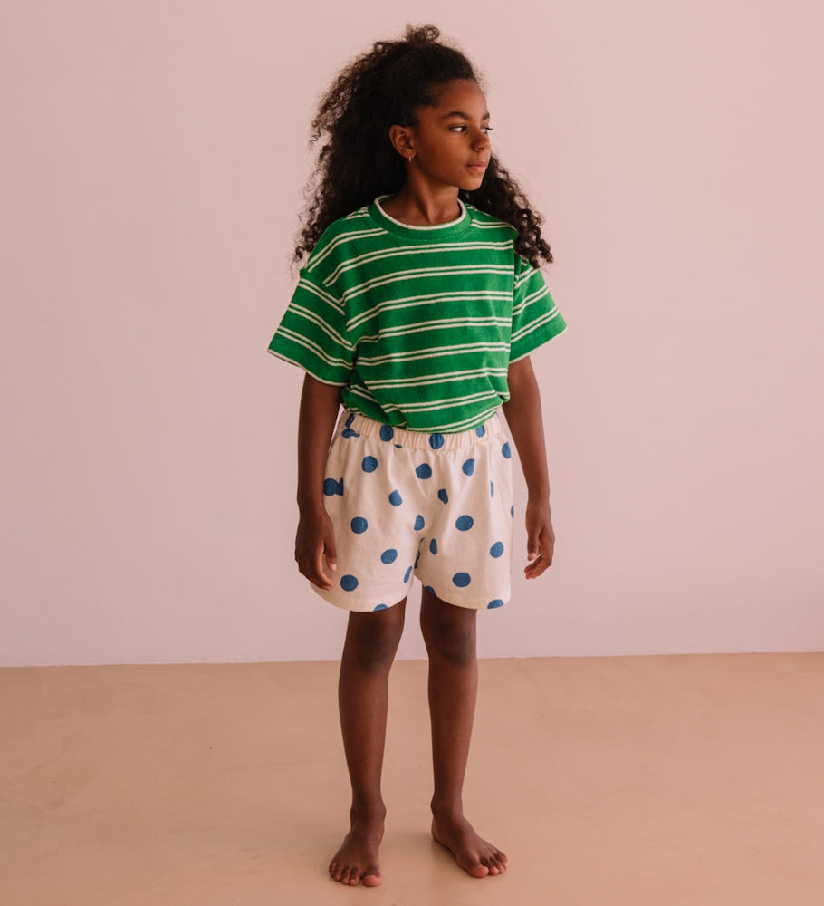 Jordan Summer Green Stripes Tee