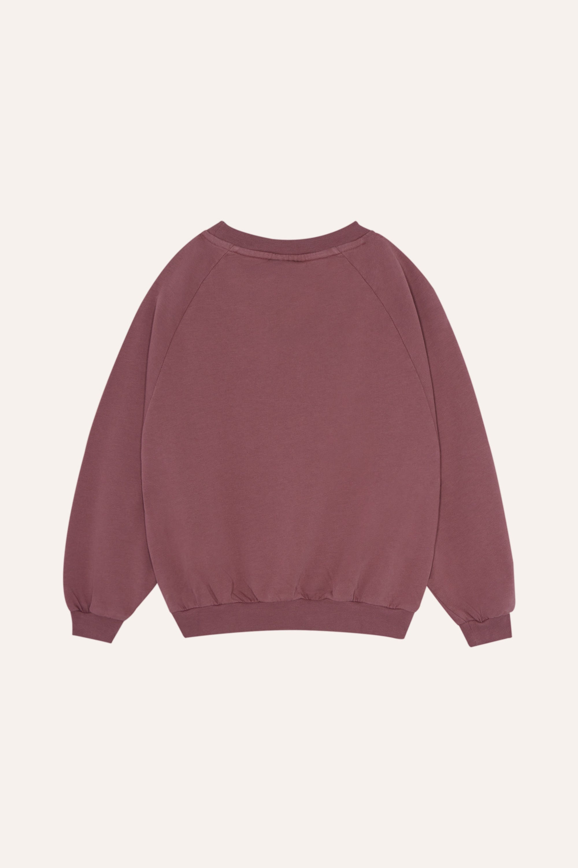 Purple Washed Sweatshirt