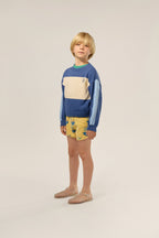 Blue sleeve child sweater
