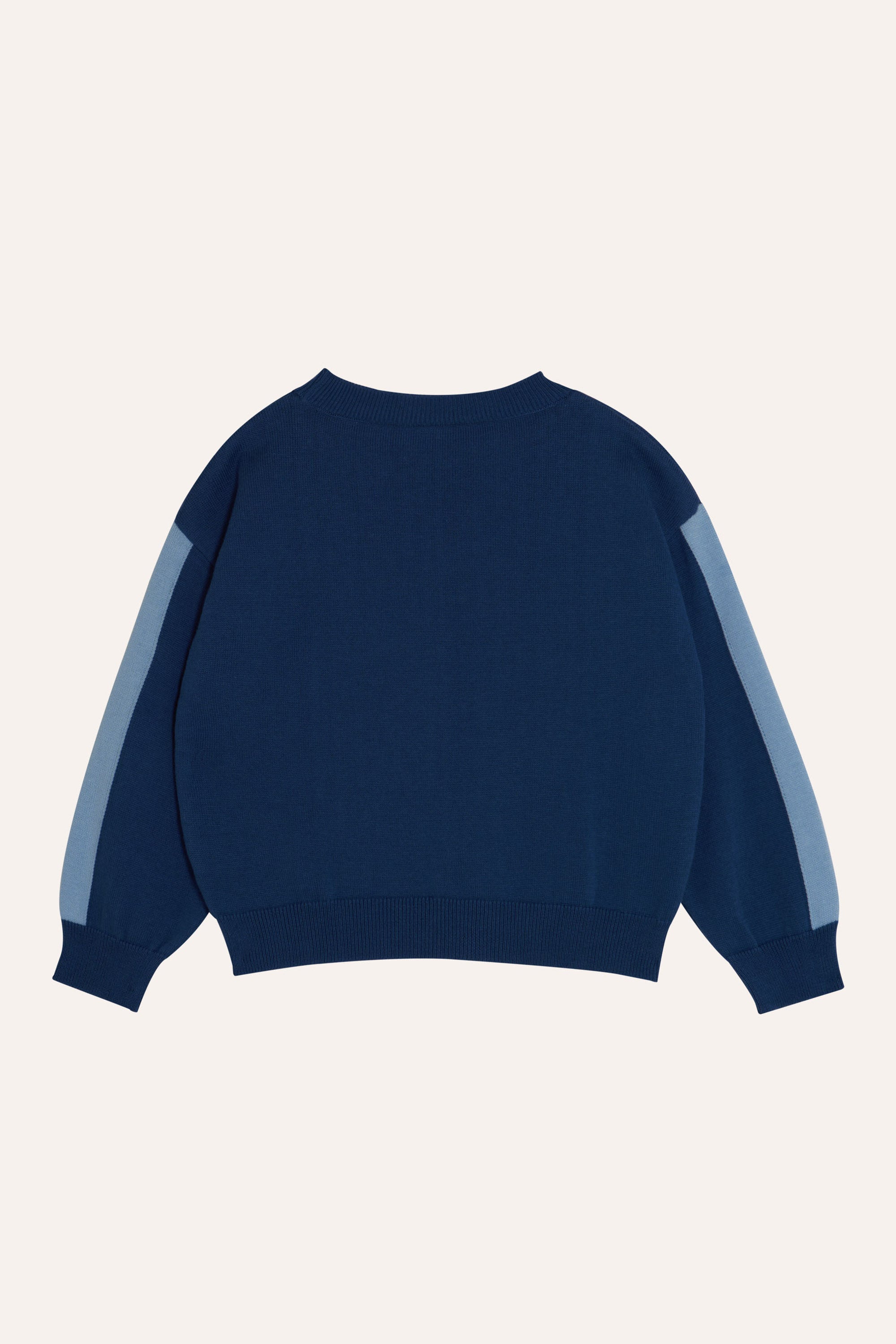 Blue sleeve child sweater