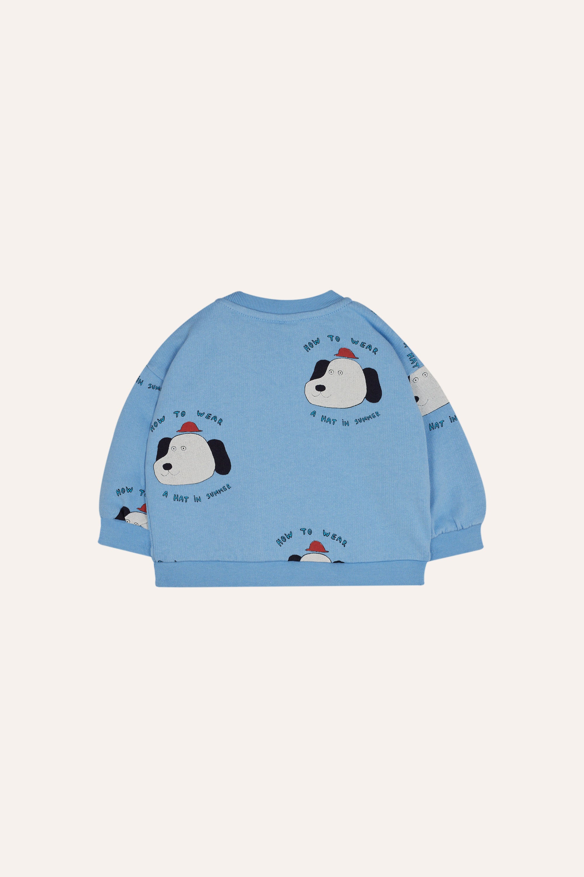 Baby Blue Sweatshirt