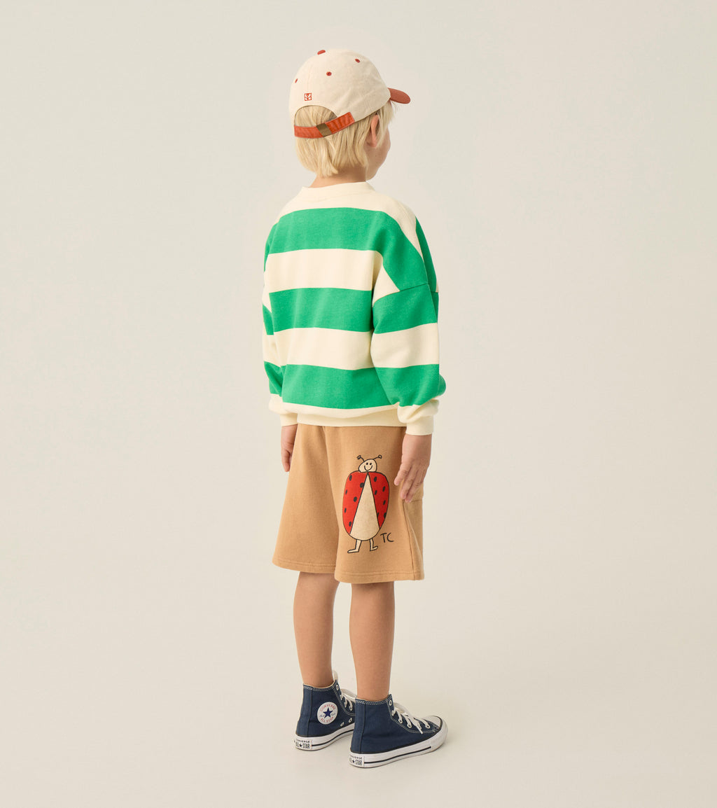 Sweat à Rayures Vertes