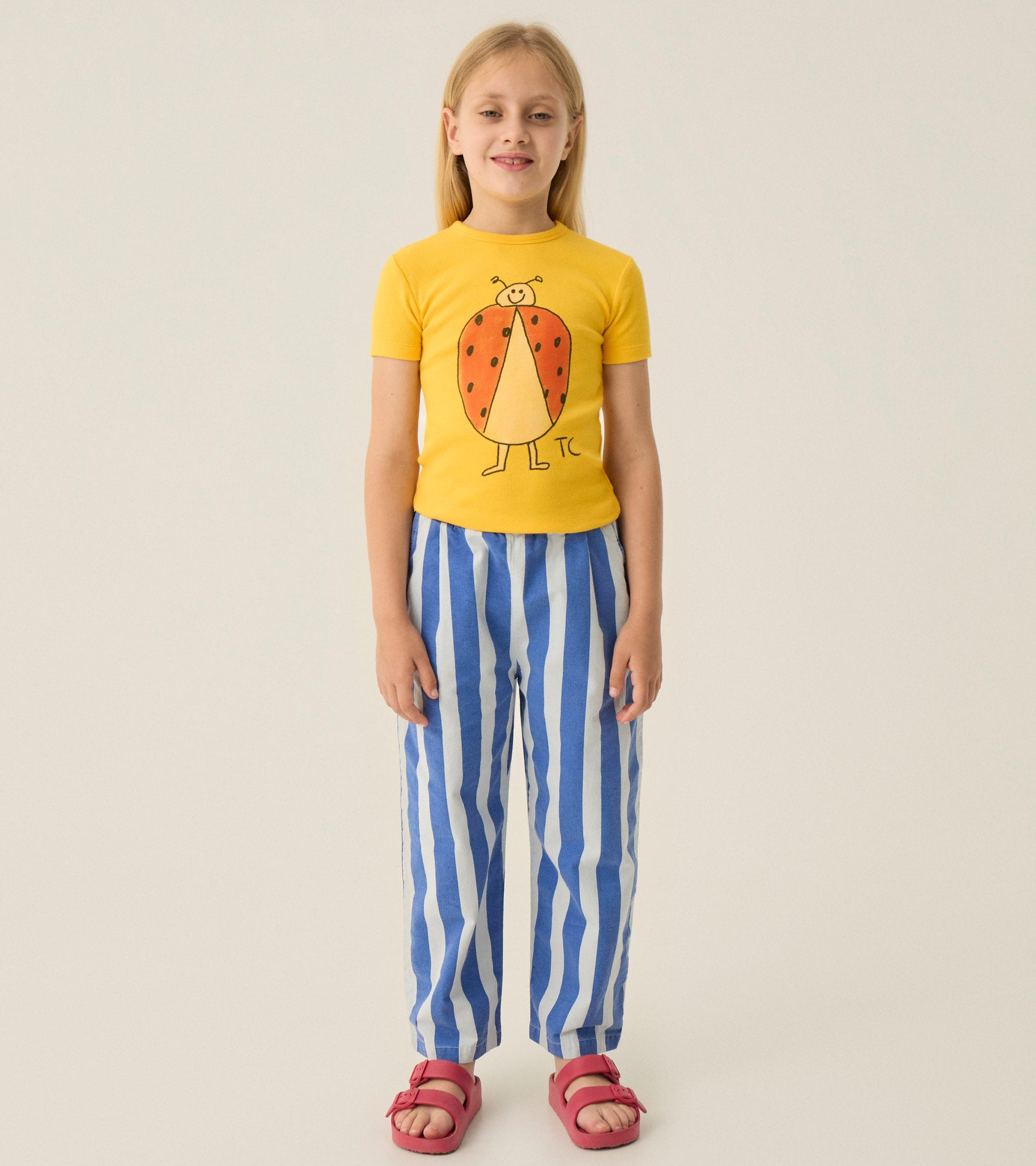 Blue Stripes Washed Trousers