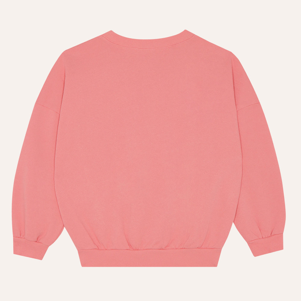 Sweat Étoile Filante