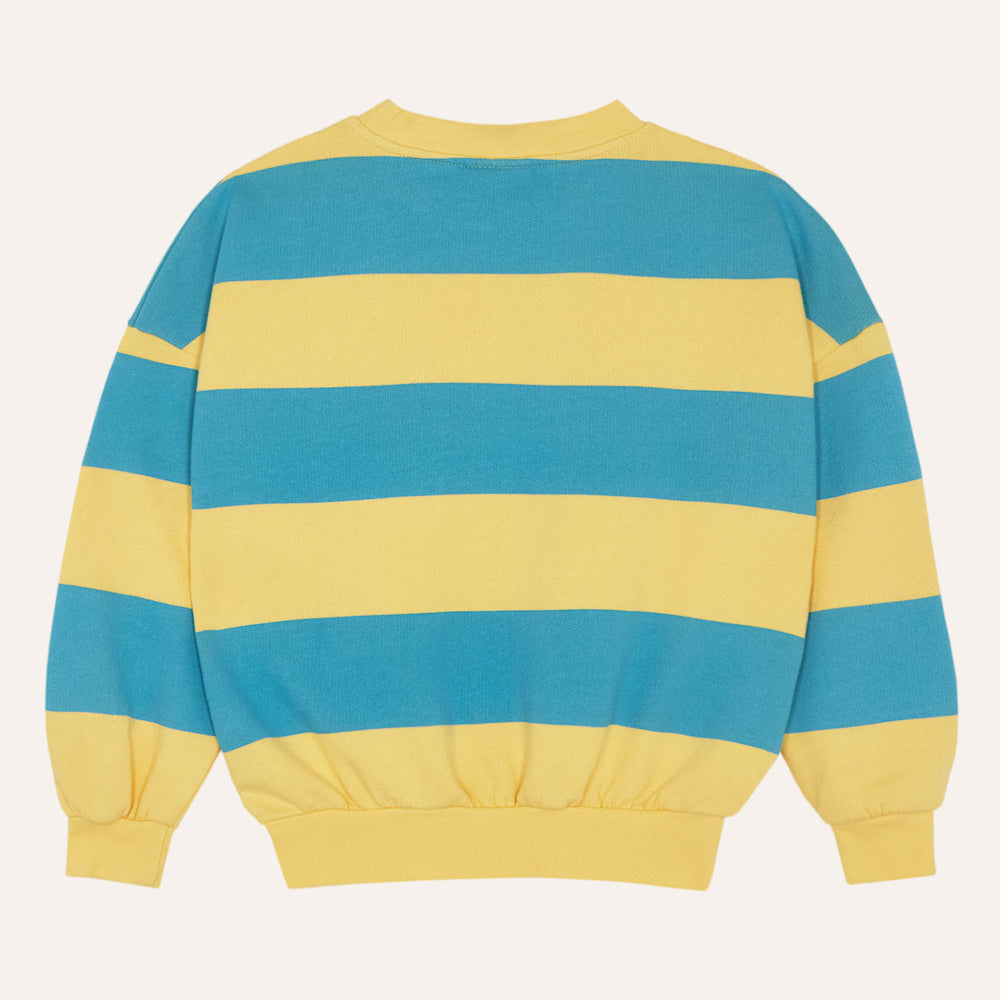 Sweat à Rayures Bleues