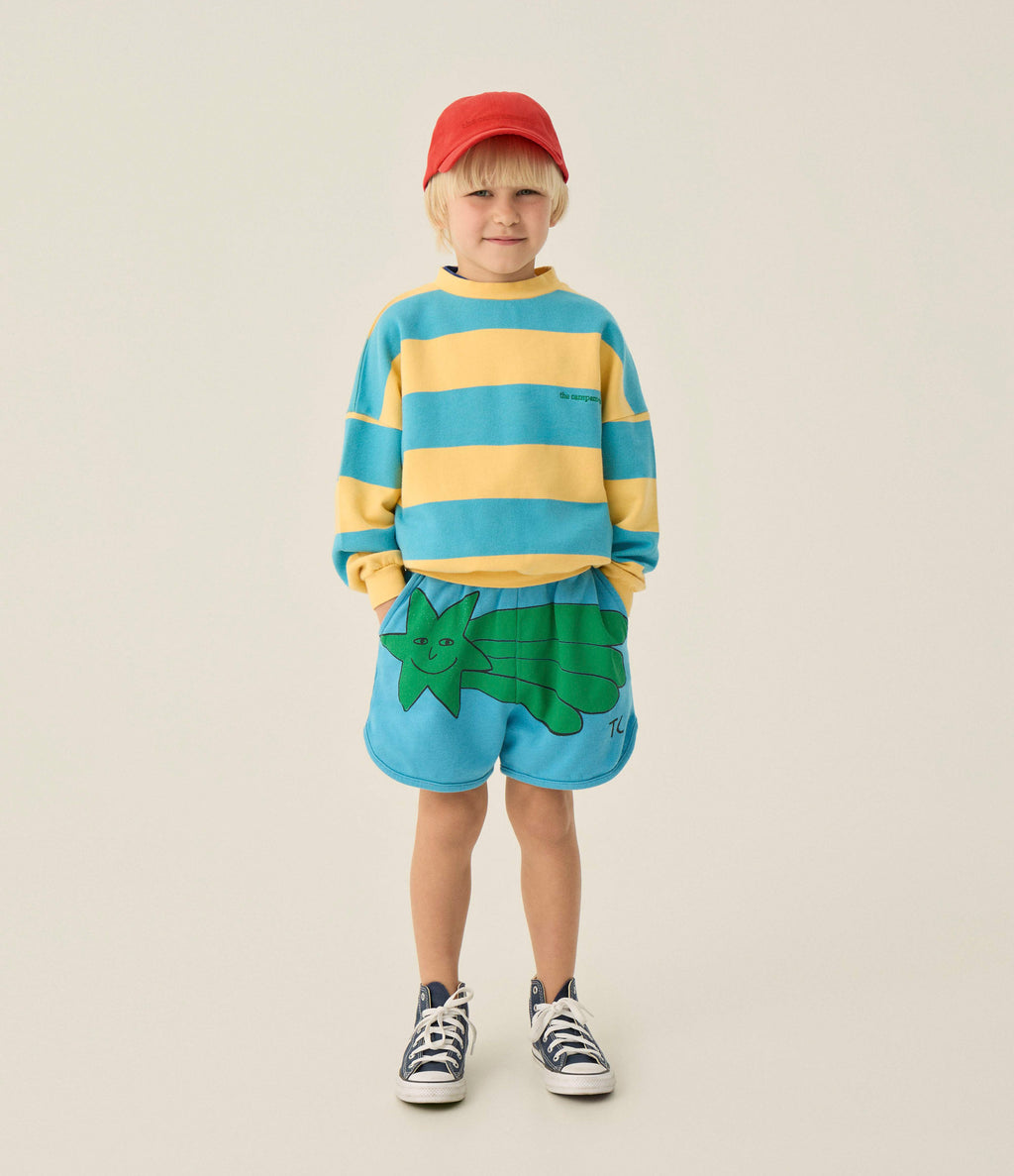 Sweat à Rayures Bleues