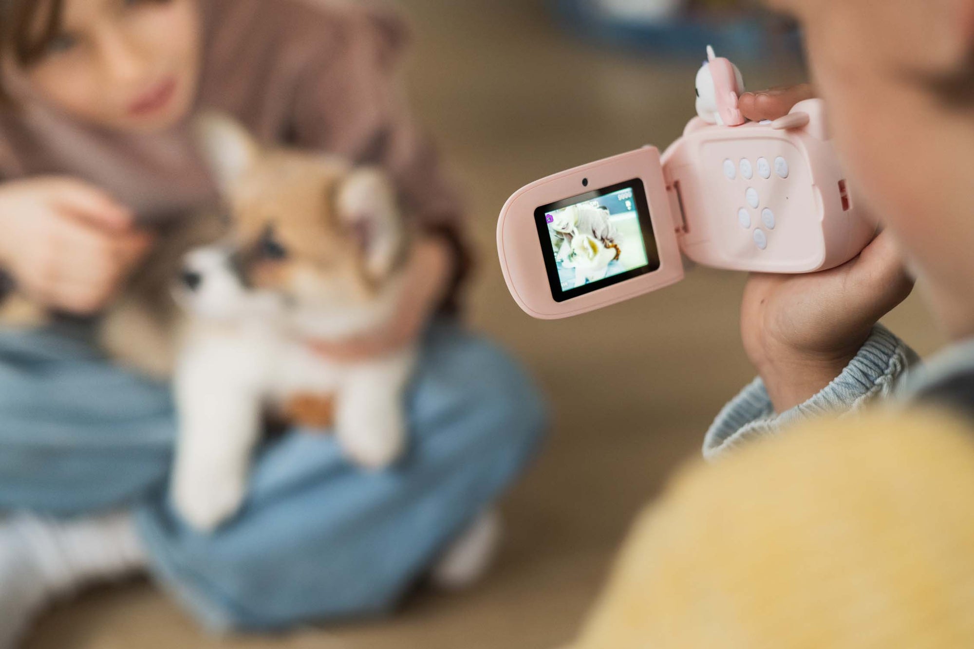 Unicorn video zoo camera