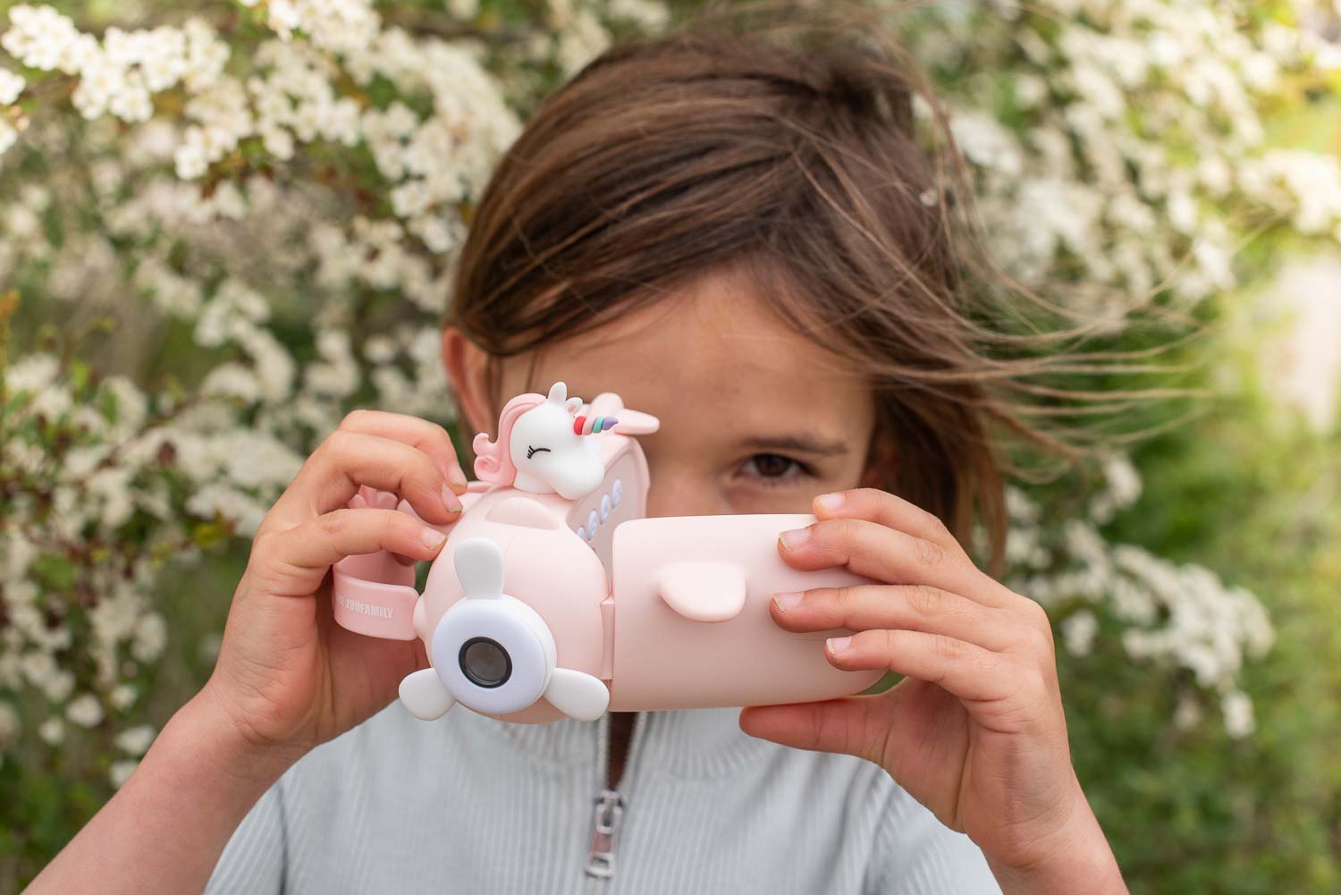 Unicorn video zoo camera