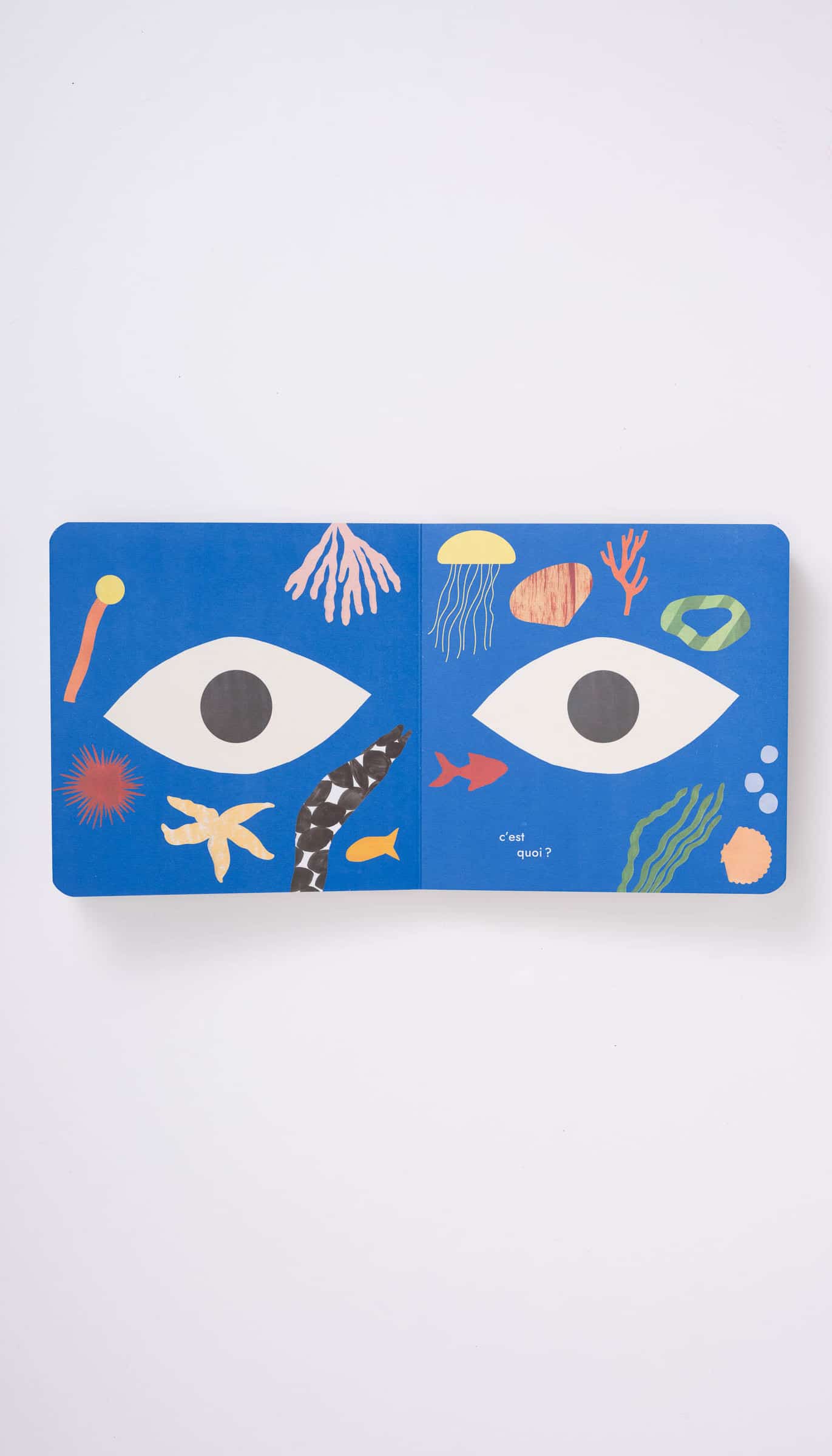 Livre L'imagier l'été