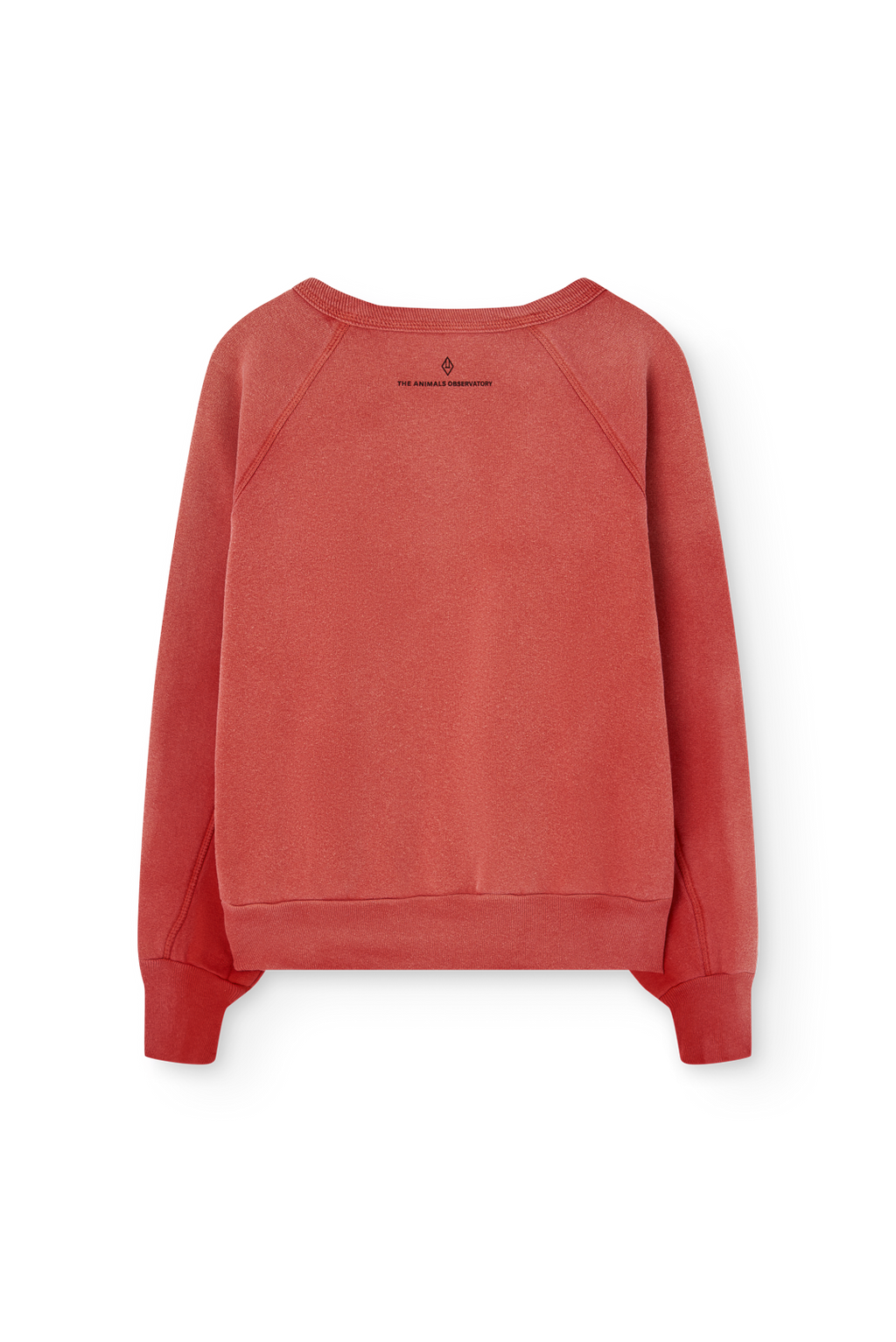 Sweat rouge SHARK The Animals Observatory pour enfant – vue 4