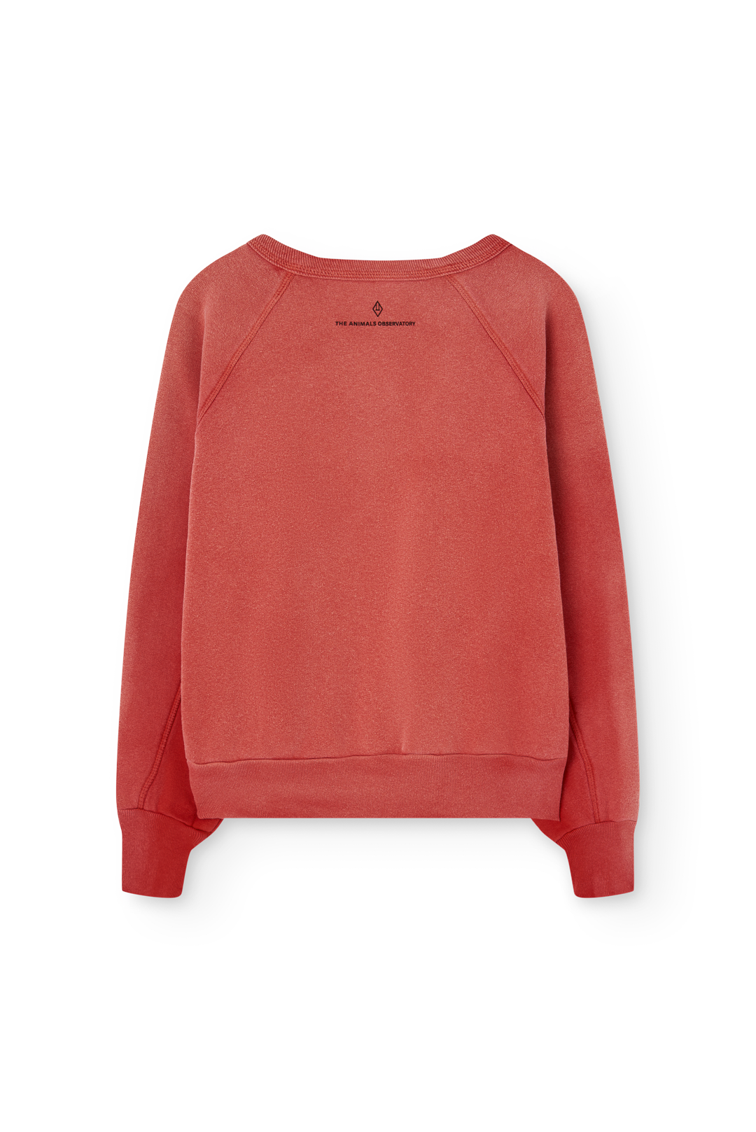Sweat rouge SHARK The Animals Observatory pour enfant – vue 4