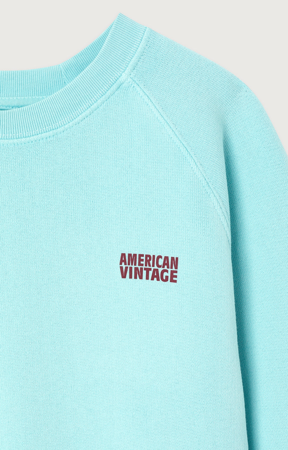 Sweat Izubird col rond Glacier Vintage — American Vintage