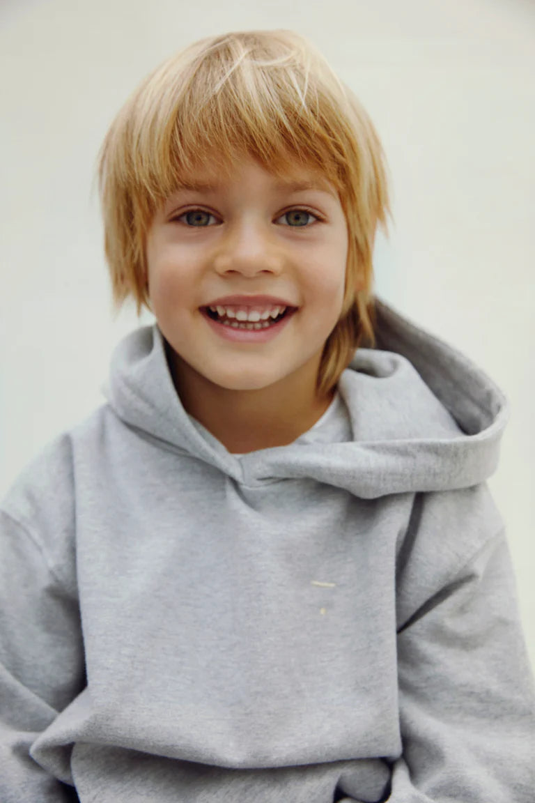 Sweat à capuche gris