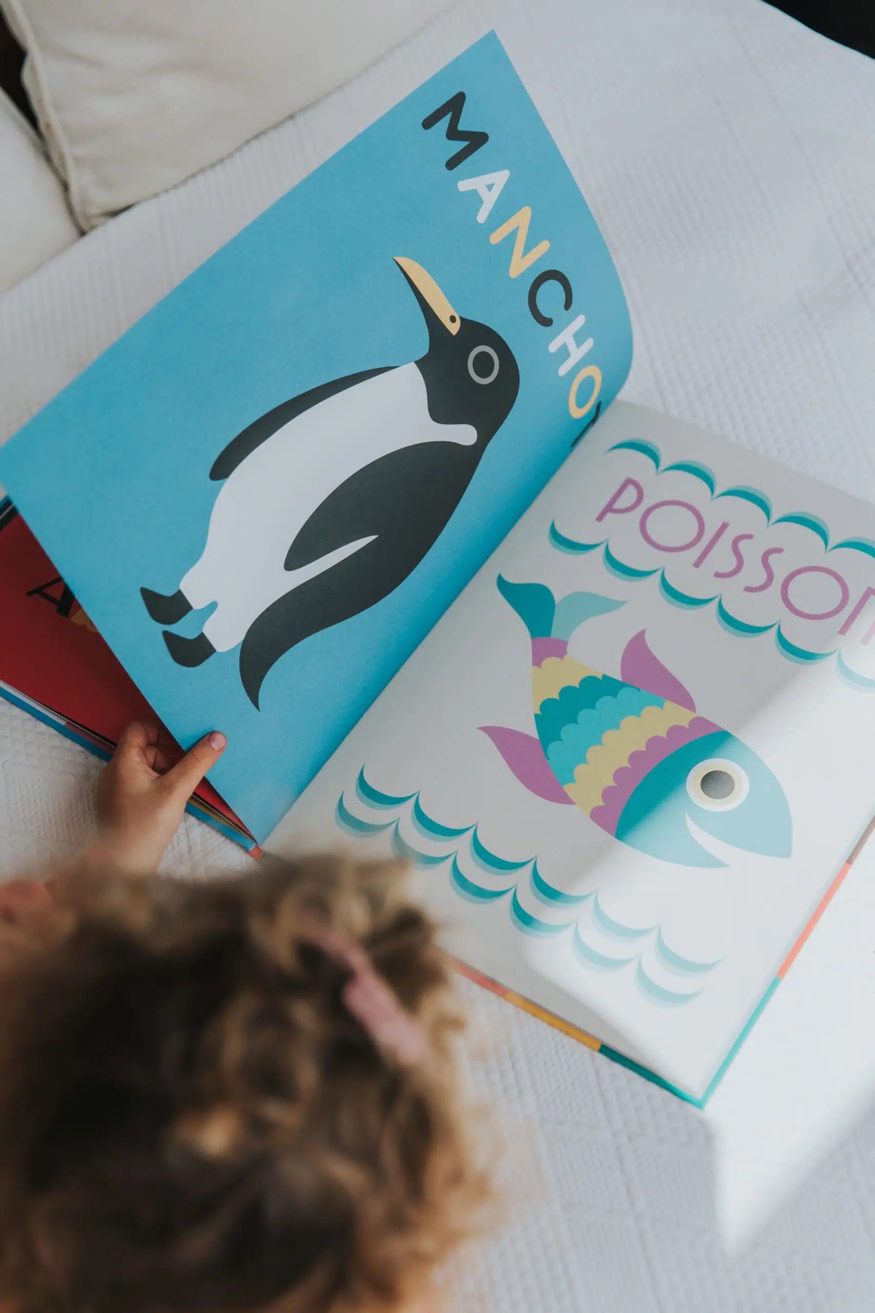 Livre Animaux autour du monde