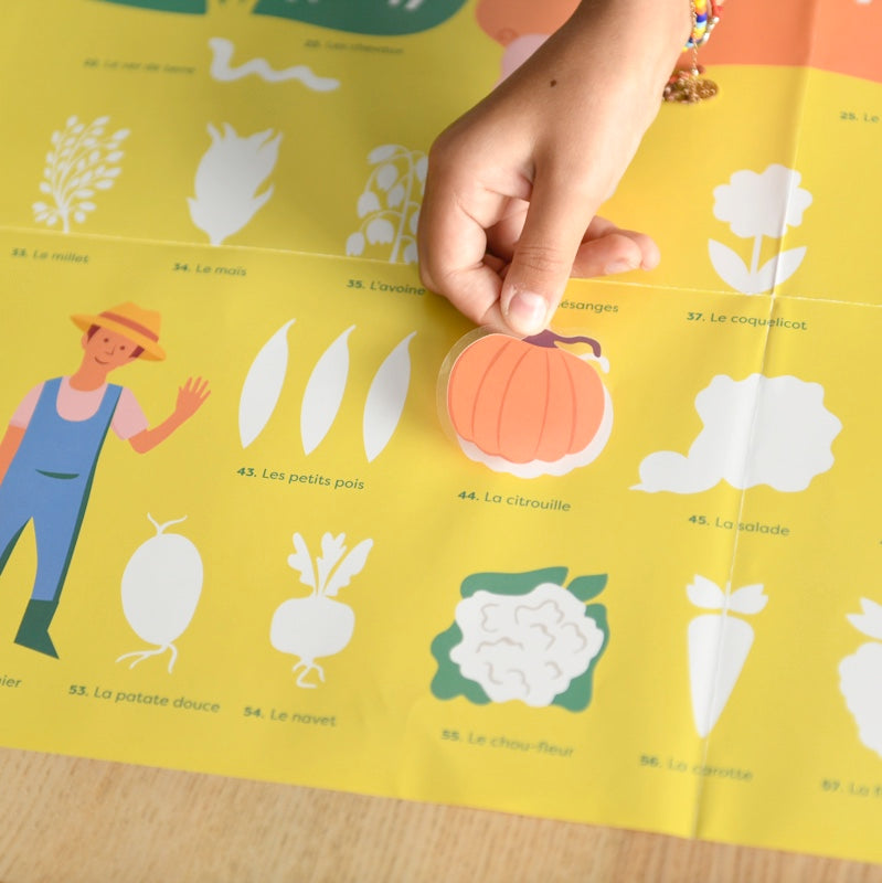 EDUCATIONAL POSTER + 51 VOLCANO STICKERS