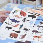 Educational poster + 67 stickers animals of the world