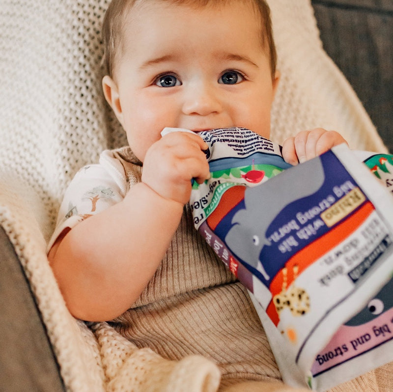 fabric baby book dinosaurs