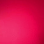 Poster Géant a Colorier - Sapin Géant