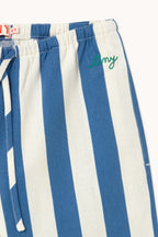 Light Navy Blue Striped Trousers