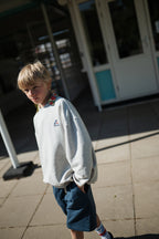 Sweat Cozy Drop Gris Clair