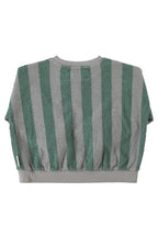 Grey Green Stripe Sweatshirt