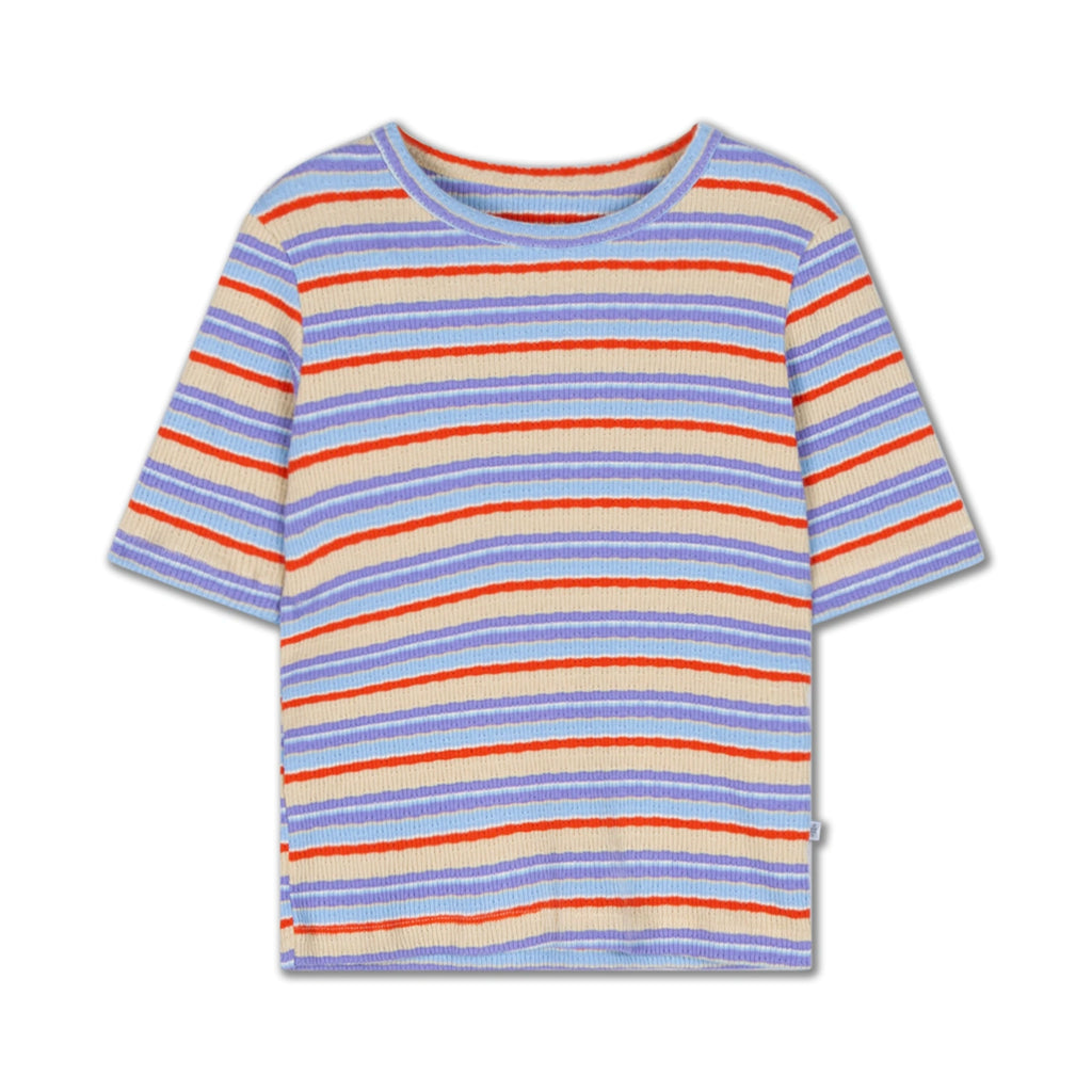 Fitted T-shirt with Multicolored Stripes