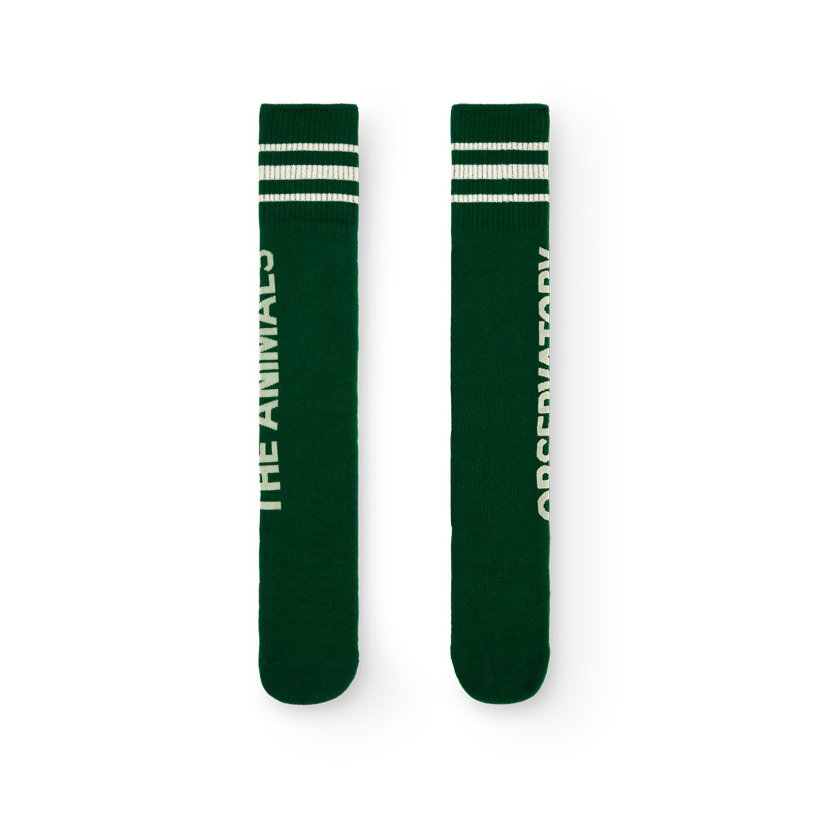 Chaussettes vertes SKUNK The Animals Observatory pour enfant