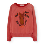 Sweat rouge SHARK The Animals Observatory pour enfant