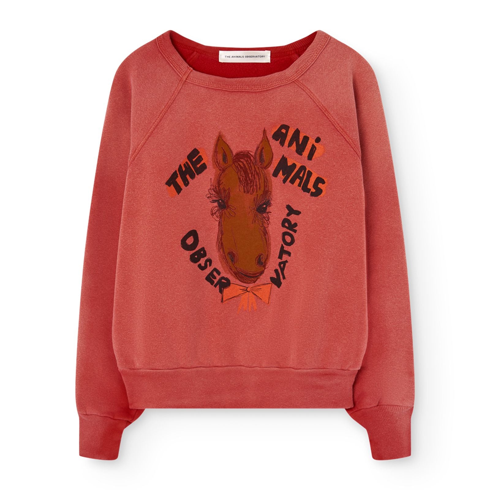 Sweat rouge SHARK The Animals Observatory pour enfant