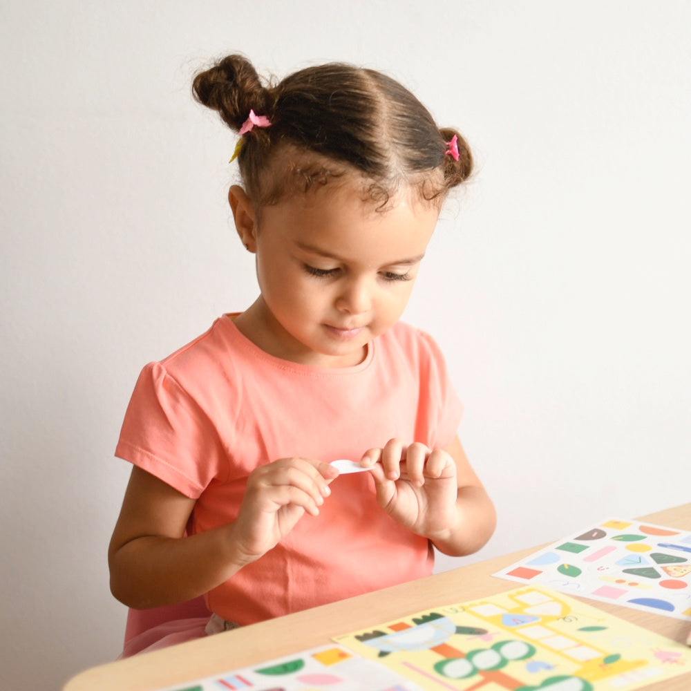 6 Cards + 96 stickers animals