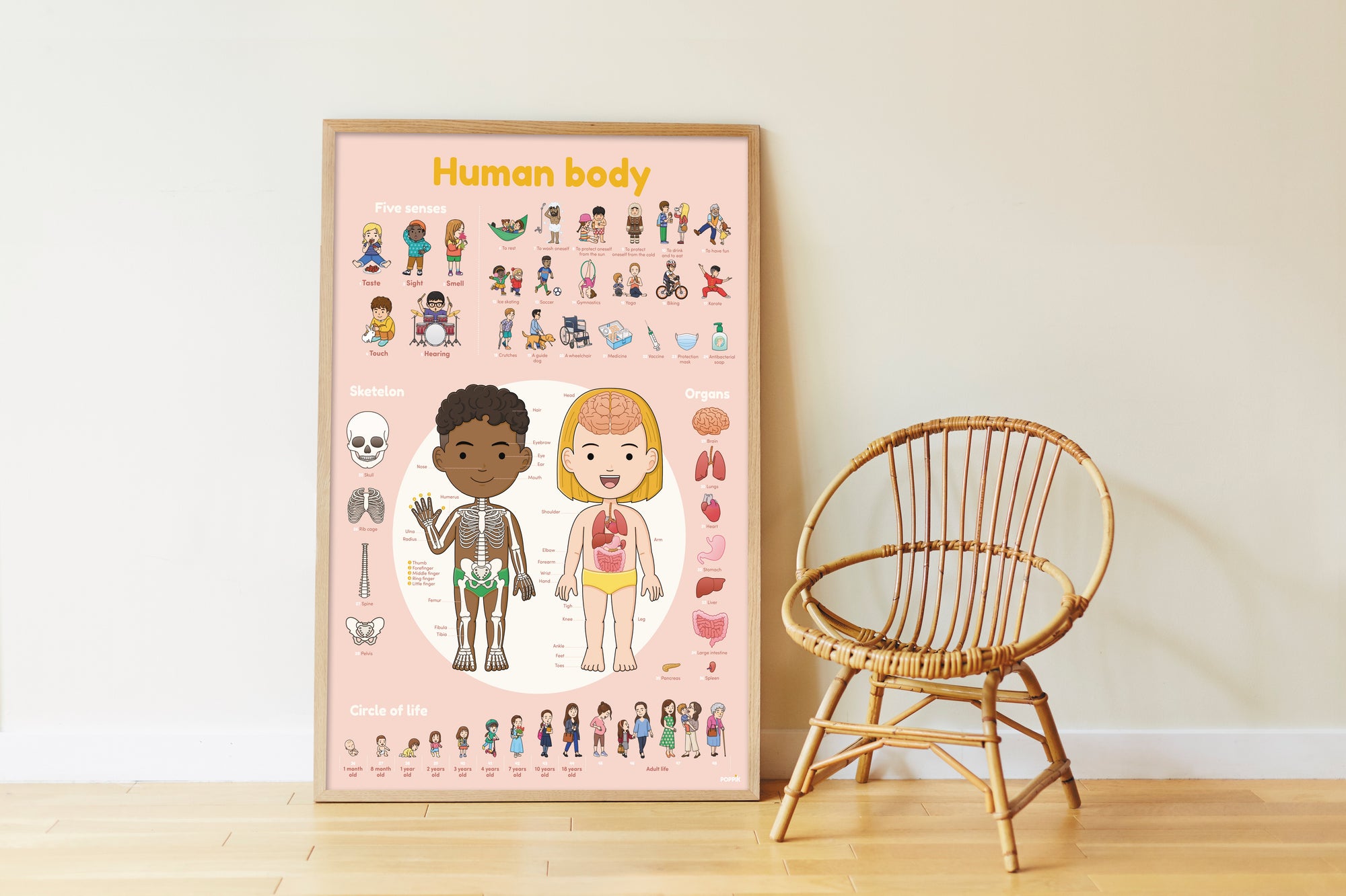 JEU EDUCATIF ENFANT POPPIK POSTER PÉDAGOGIQUE + 49 STICKERS le corps humain