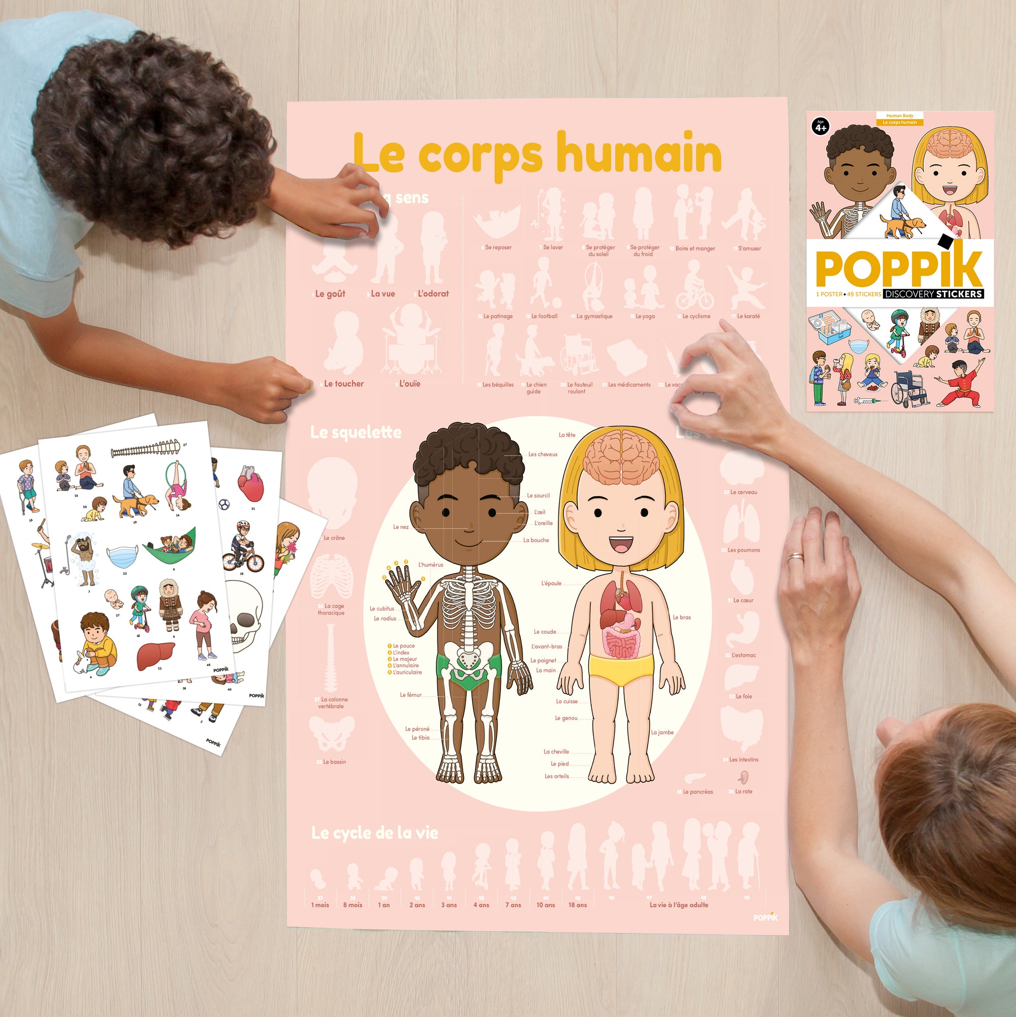 JEU EDUCATIF ENFANT POPPIK POSTER PÉDAGOGIQUE + 49 STICKERS le corps humain
