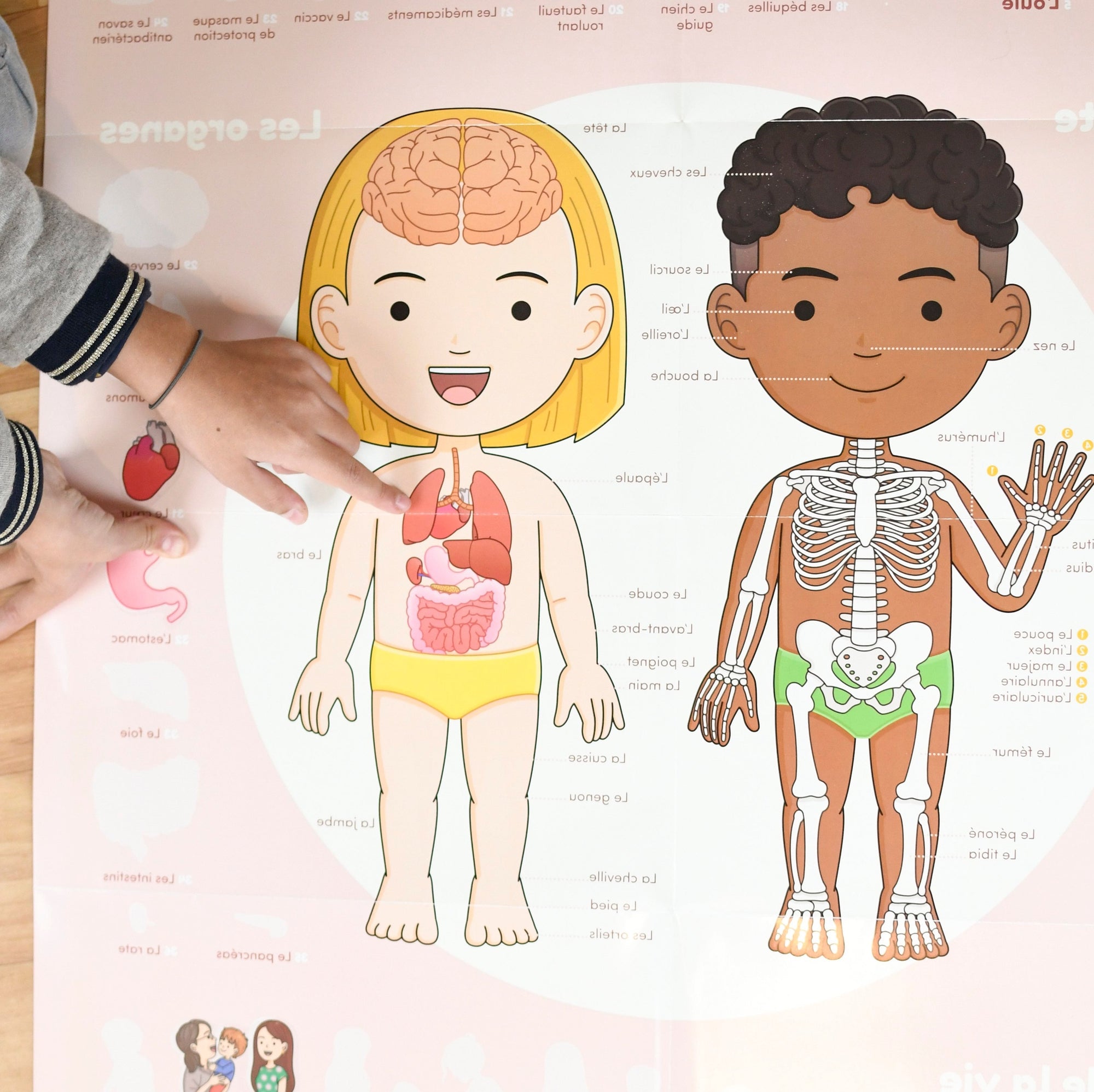 JEU EDUCATIF ENFANT POPPIK POSTER PÉDAGOGIQUE + 49 STICKERS le corps humain